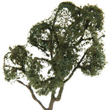 Maxbell Maple Trees Model Ash Trees Scenery Landscape Model Architecture Building