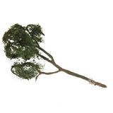 Maxbell Maple Trees Model Ash Trees Scenery Landscape Model Architecture Building