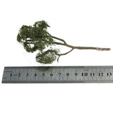 Maxbell Maple Trees Model Ash Trees Scenery Landscape Model Architecture Building