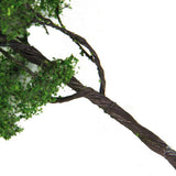 Maxbell 7x4.72 Inch Scenery Landscape Model Elm Tree