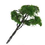 Maxbell 7x4.72 Inch Scenery Landscape Model Elm Tree
