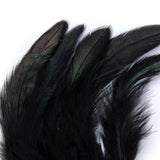 Maxbell 50 Black +50 Natural Beautiful Rooster Feather Hat DIY Costume Craft 2-6.5''