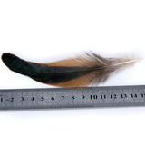 Maxbell 2X 50pcs Natural Rooster Feathers DIY Hat Fascinator Making