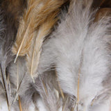 Maxbell 2X 50pcs Natural Rooster Feathers DIY Hat Fascinator Making