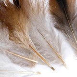 Maxbell 2X 50pcs Natural Rooster Feathers DIY Hat Fascinator Making