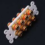 Maxbell Speaker Cable Wall Plate - 8 Banana Plug