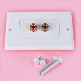 Maxbell Speaker Cable Wall Plate - 2 Banana Plug