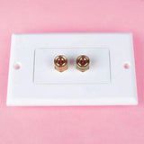 Maxbell Speaker Cable Wall Plate - 2 Banana Plug