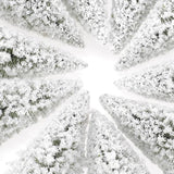 Maxbell 20 White Snow Covered & 10 Bare Model Trees Winter Forest Train Railway Scenery