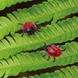 Maxbell 14pcs Plastic Artificial Beetle  Insect Model Toy