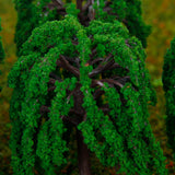 Maxbell 50± Pine Tree Scene Layout N Z+100 Fir Tree+25  1:150-200+30 Trees HO