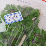 Maxbell 20PCS Train Park Street Landscape Model Mulberry and Pine Trees Scale 1:50 - 75