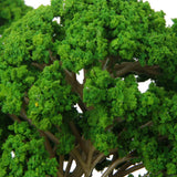 Maxbell 8x5 Pcs Train Model Mulberry Trees Scale 1:50 - 75