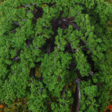 Maxbell 50 Pcs Train Model Willow Trees Scale 1:250 - 300