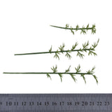 Maxbell 100 Model Bamboo Tree 4 Scale & 100 Mixed Flowering Plants Train Railway Scenery