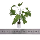 Maxbell 3x1/12 Green Banana Tree In White Bottle Dollhouse Miniature Garden Accessory