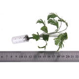 Maxbell Dollhouse Miniature Furniture Bathroom Shower Room & Green Tree Plant in POT