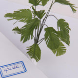 Maxbell Dollhouse Miniature Furniture Bathroom Shower Room & Green Tree Plant in POT