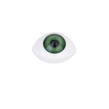 Maxbell 8pcs 12mm Iris Oval Hollow Plastic Doll Dollfie Eyes Eyeballs
