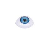 Maxbell 8pcs 12mm Iris Oval Hollow Plastic Doll Dollfie Eyes Eyeballs