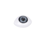 Maxbell 8pcs 12mm Iris Oval Hollow Plastic Doll Dollfie Eyes Eyeballs