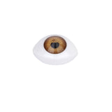 Maxbell 8pcs 12mm Iris Oval Hollow Plastic Doll Dollfie Eyes Eyeballs