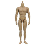 Maxbell 1:6 Scale Action Figure Male Muscle Body Toys Version 2.0 for TTM19