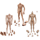 Maxbell 1:6 Scale Action Figure Male Muscle Body Toys Version 2.0 for TTM19