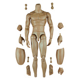 Maxbell 1:6 Scale Action Figure Male Muscle Body Toys Version 2.0 for TTM19