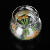 Maxbell 1:12 Dollhouse Miniature Gold Fish Bowl Gold Fish Tank Doll House Pets