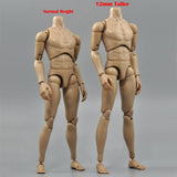 Maxbell Narrow Shoulder 1/6 Scale 12inch Male Nude Action Figure Body For TTM19 Toy