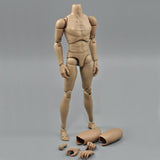 Maxbell Narrow Shoulder 1/6 Scale 12inch Male Nude Action Figure Body For TTM19 Toy
