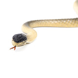 Maxbell 6x18 Inch Snake Model Pretend Trick Toy