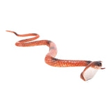 Maxbell 3x18 Inch King Cobra Snake Model Pretend Trick Toy