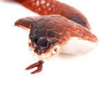 Maxbell 3x18 Inch King Cobra Snake Model Pretend Trick Toy