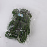 Maxbell 15pc Boxed Model Cedar Trees Train Railway Scenery Layout +10pc 3.1"- 3.9" Trees