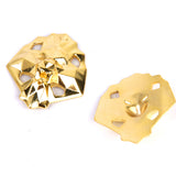 Maxbell GOLD METAL LION HEAD SHOELACE LOCK & 2PRS SCREW ON AGLET TIPS FOR YEEZY LEBRON