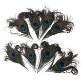 Maxbell Peacock Feathers for Craft Mask Hat 10-12cm 10pcs