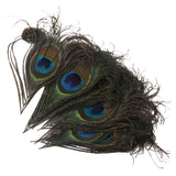 Maxbell Peacock Feathers for Craft Mask Hat 10-12cm 10pcs