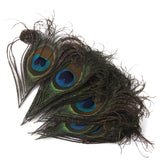 Maxbell 20pcs Natural Peacock Body Plumage & Tail Feathers Craft Mask Millinery Decor