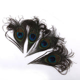 Maxbell 20pcs Natural Peacock Body Plumage & Tail Feathers Craft Mask Millinery Decor