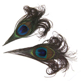 Maxbell Peacock Feathers for Craft Mask Hat 10-12cm 10pcs