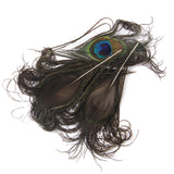 Maxbell 20pcs Natural Peacock Body Plumage & Tail Feathers Craft Mask Millinery Decor