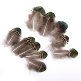Maxbell Peacock Feathers for Craft Mask Hat 5-7cm 10pcs