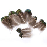 Maxbell 20pcs Natural Peacock Body Plumage & Tail Feathers Craft Mask Millinery Decor