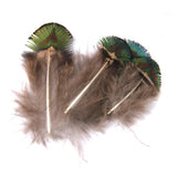 Maxbell Peacock Feathers for Craft Mask Hat 5-7cm 10pcs