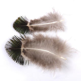 Maxbell Peacock Feathers for Craft Mask Hat 5-7cm 10pcs