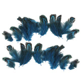 Maxbell 14xPheasant Feathers for Craft Mask Hat 3-6cm 50pcs