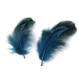 Maxbell 14xPheasant Feathers for Craft Mask Hat 3-6cm 50pcs