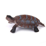 Maxbell 20-piece Plastic Animal Turtle Models Kids Educational Toy Party Bag Fillers